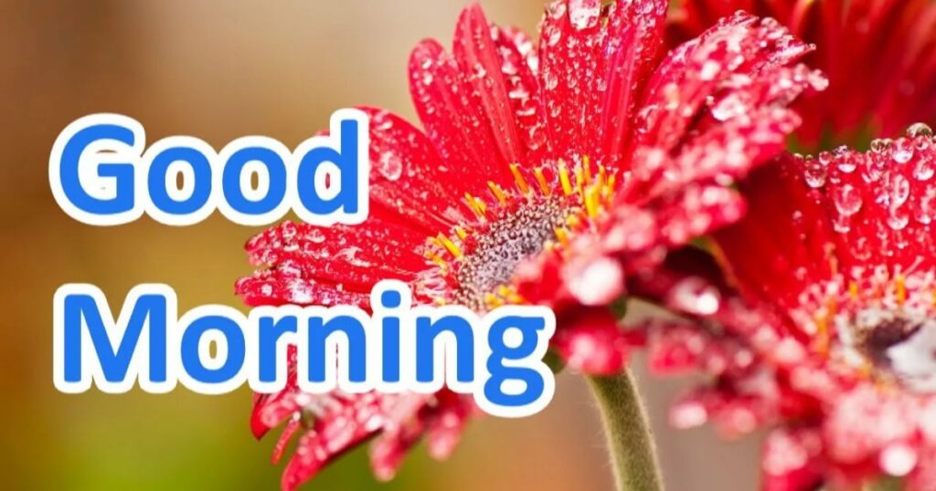 Funny Good Morning Texts for Friends