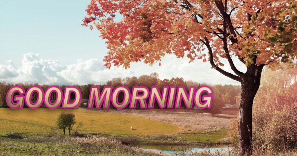 Images for Good Wednesday Morning