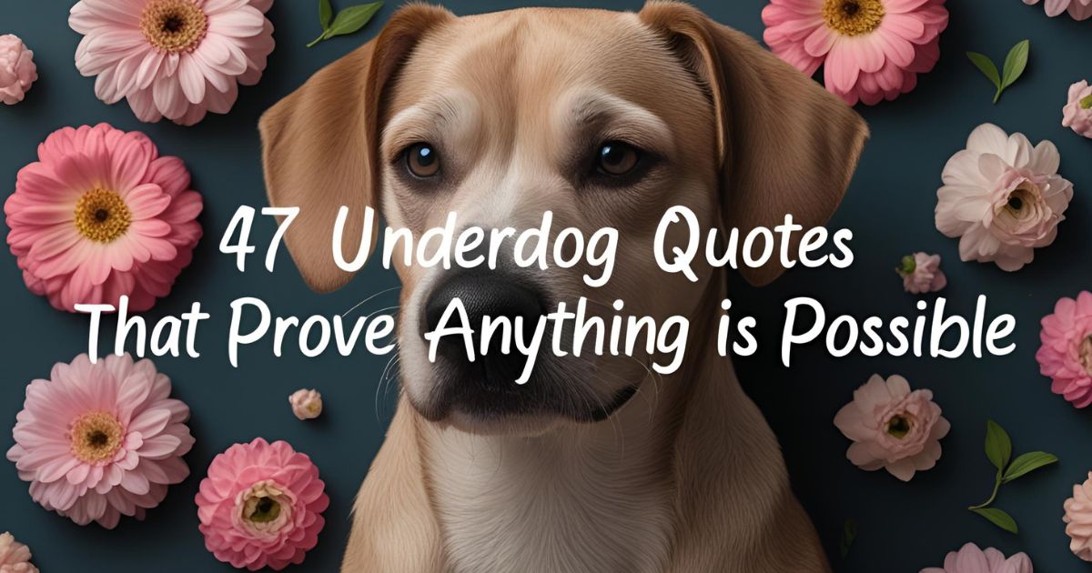 47 Underdog Quotes That Prove Anything Is Possible